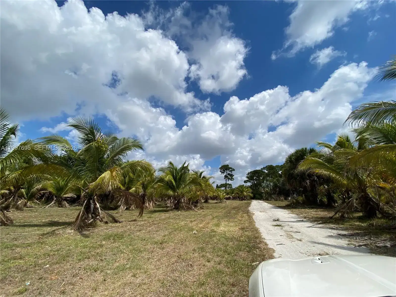 4411 Forest Hill Blvd, Palm Springs FL 33406 photo 4