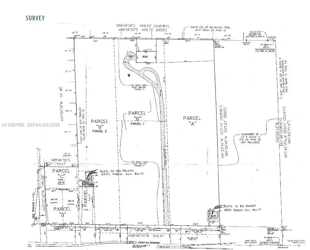 4411 Forest Hill Blvd, Palm Springs FL 33406 photo 5