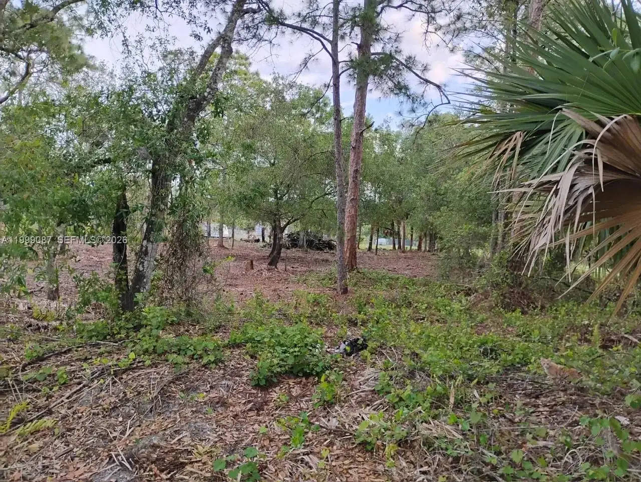 845 Appaloosa Avenue, Clewiston FL 33440
