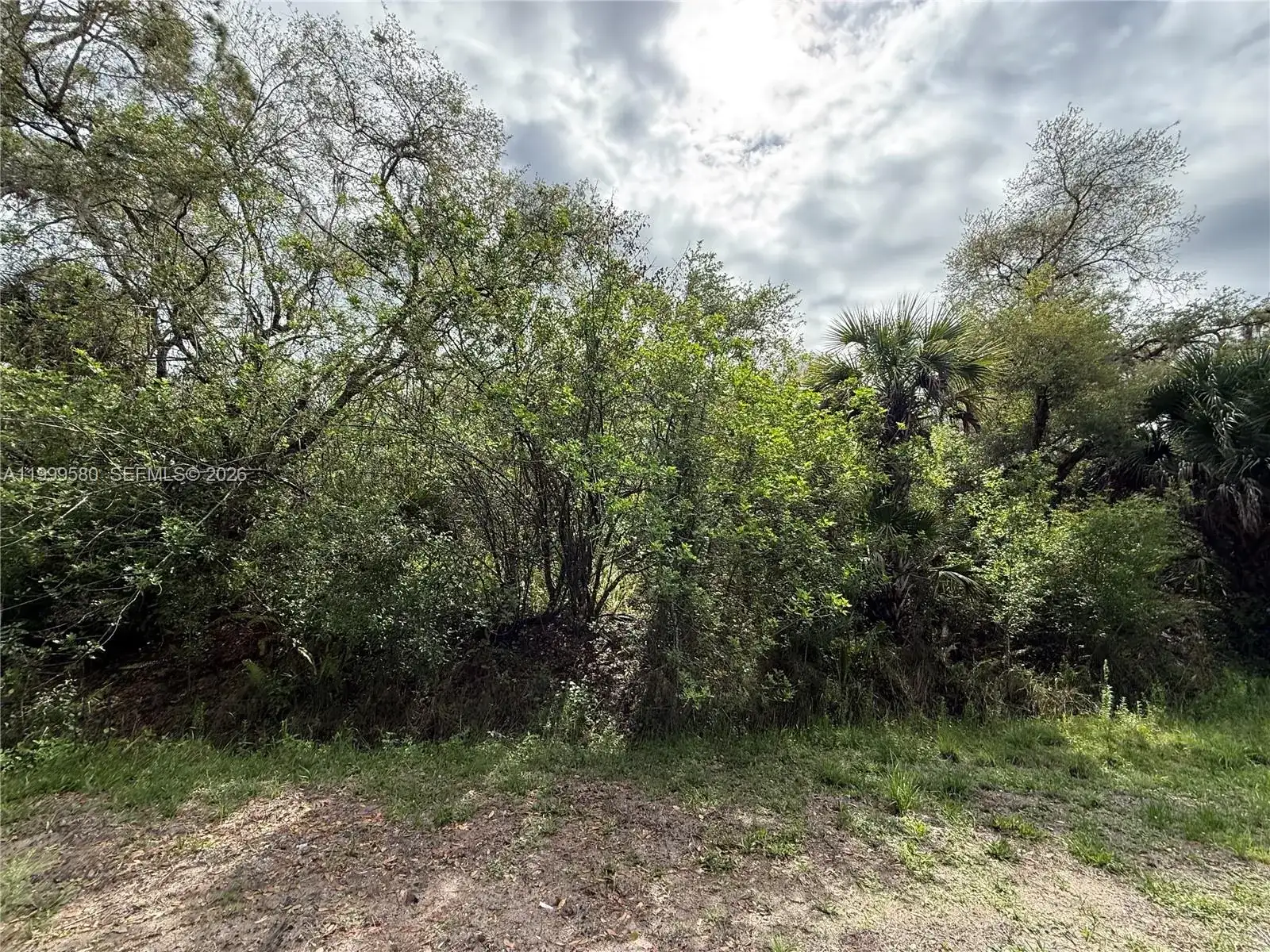 775 N ZAMBRIA ST, Clewiston FL 33440 photo 2