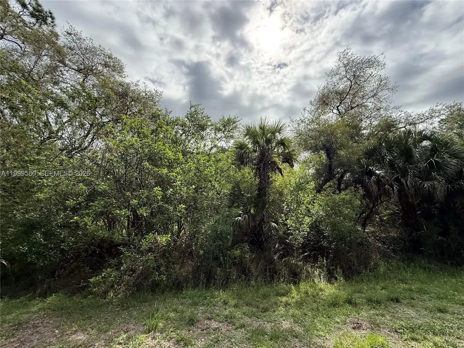 775 N ZAMBRIA ST, Clewiston FL 33440 photo 3