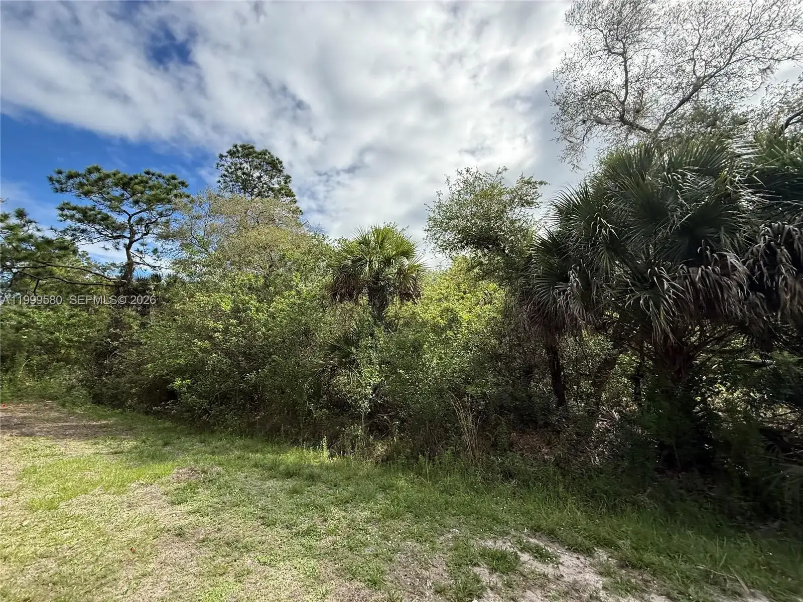 775 N ZAMBRIA ST, Clewiston FL 33440 photo 5