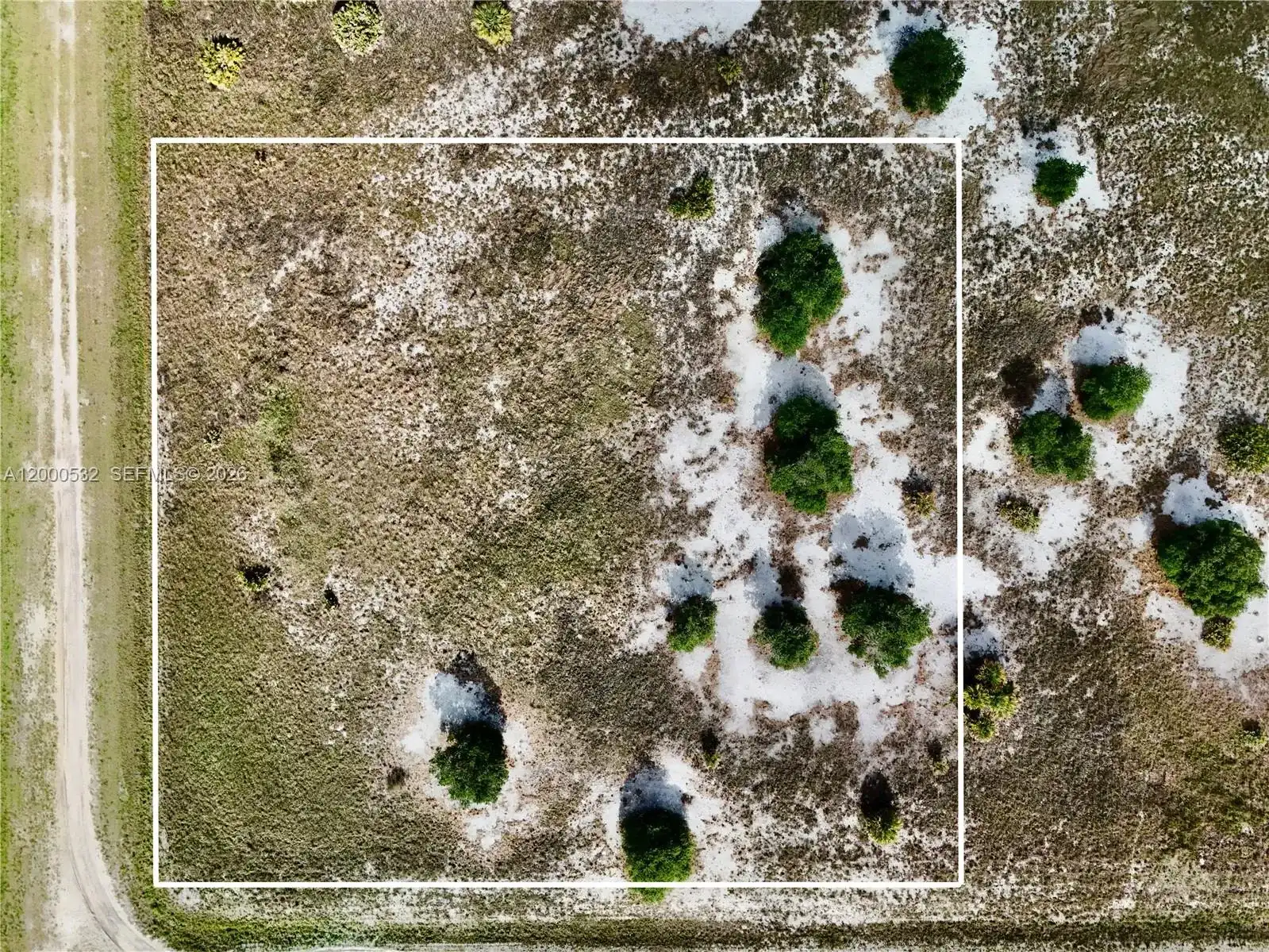 16734 NW 242ND, Okeechobee FL 34972