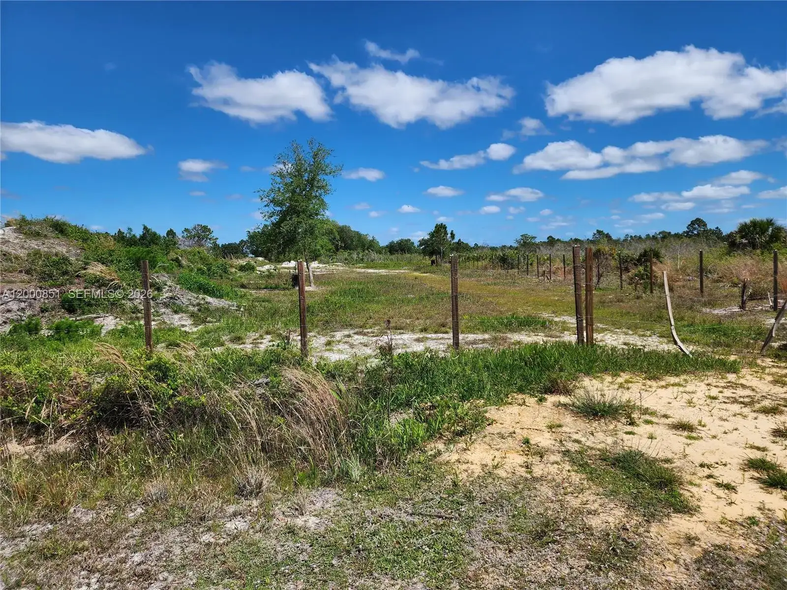16785 NW 292nd ST, Okeechobee FL 34972 photo 3