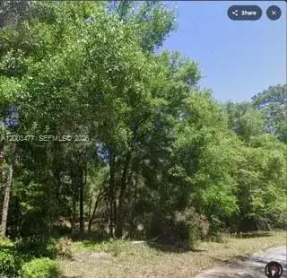 0 SW SW 97 PL, Dunnellon, Ocala FL 34432 photo 5