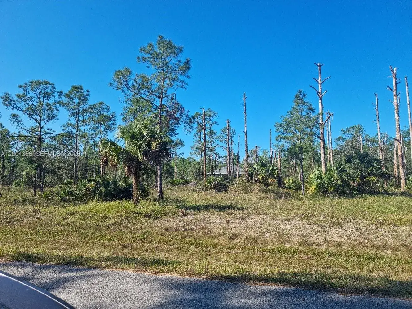 2309 Wellington Ave, Other City - In The State Of Florida FL 33920