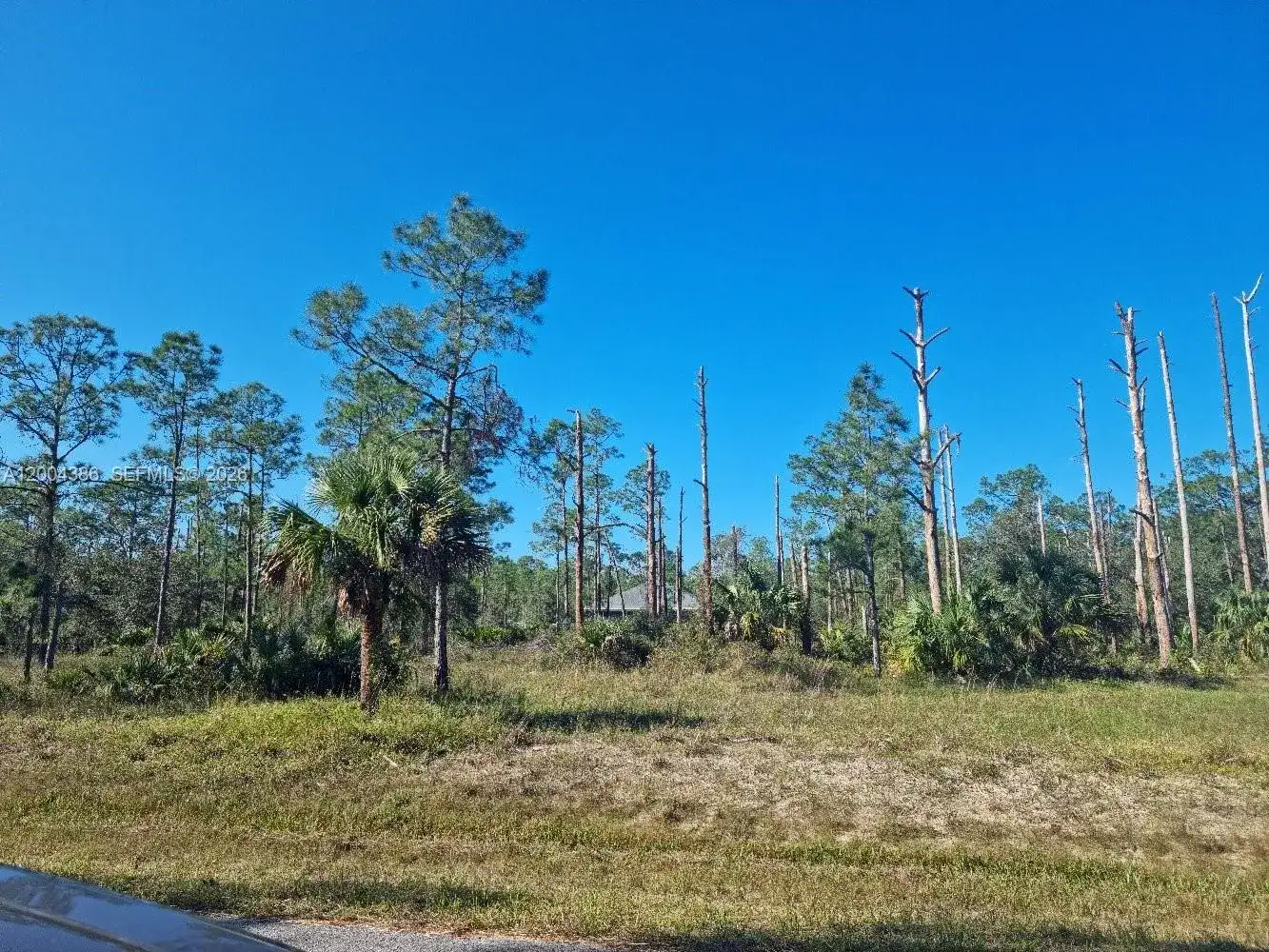 2309 Wellington Ave, Other City - In The State Of Florida FL 33920 photo 2