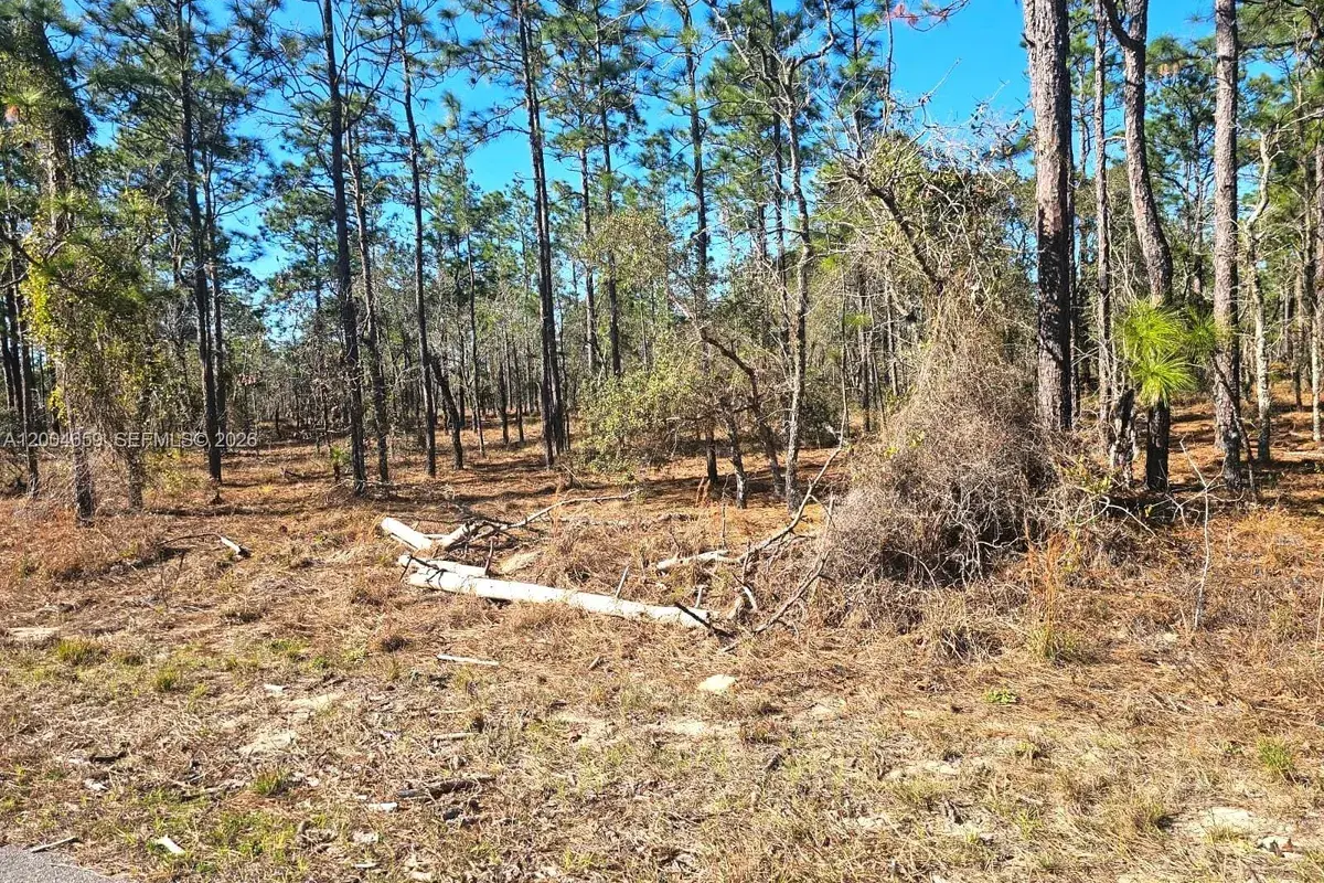 NO Situs NW Shamrock AVE, Other City - In The State Of Florida FL 34431