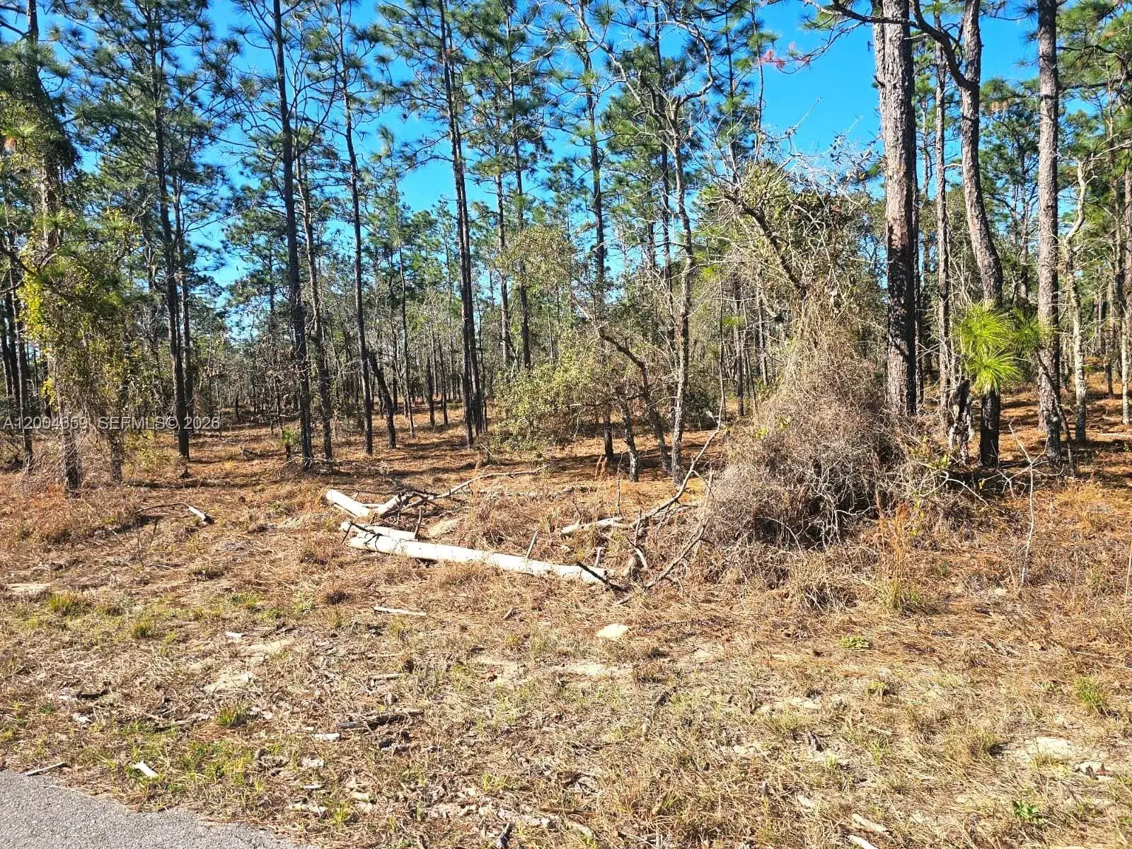 NO Situs NW Shamrock AVE, Other City - In The State Of Florida FL 34431