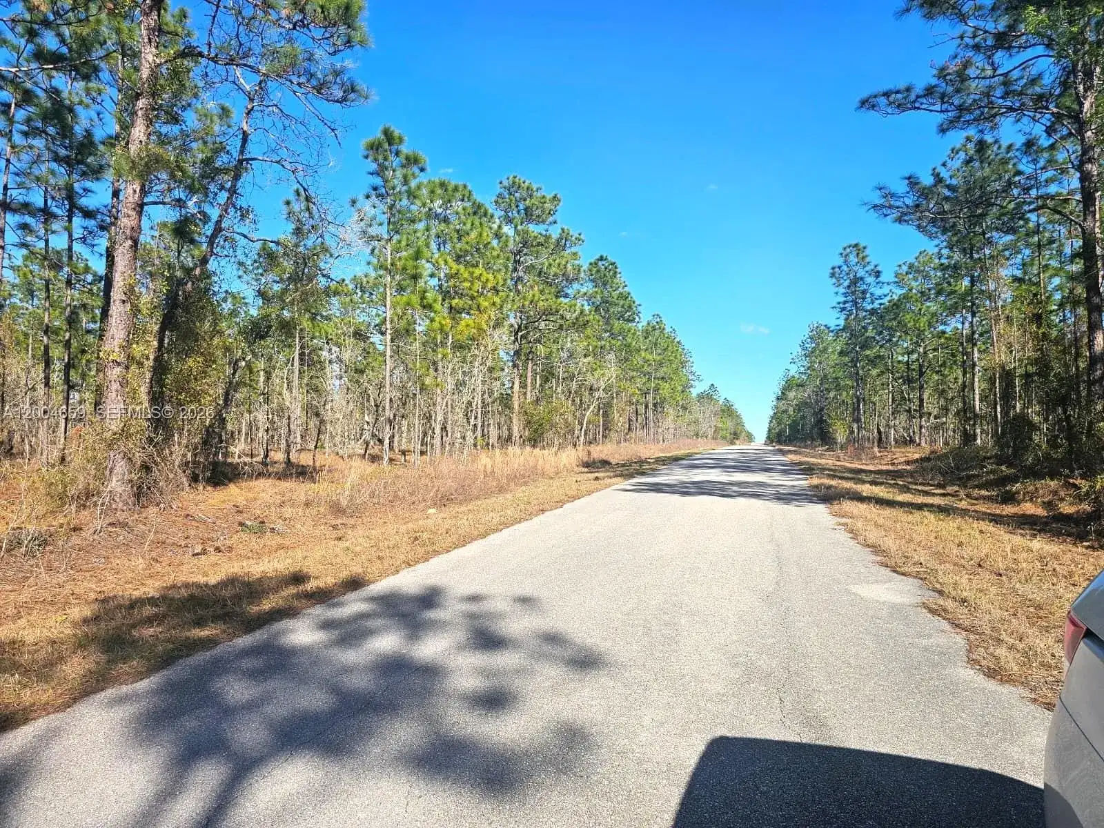 NO Situs NW Shamrock AVE, Other City - In The State Of Florida FL 34431 photo 3