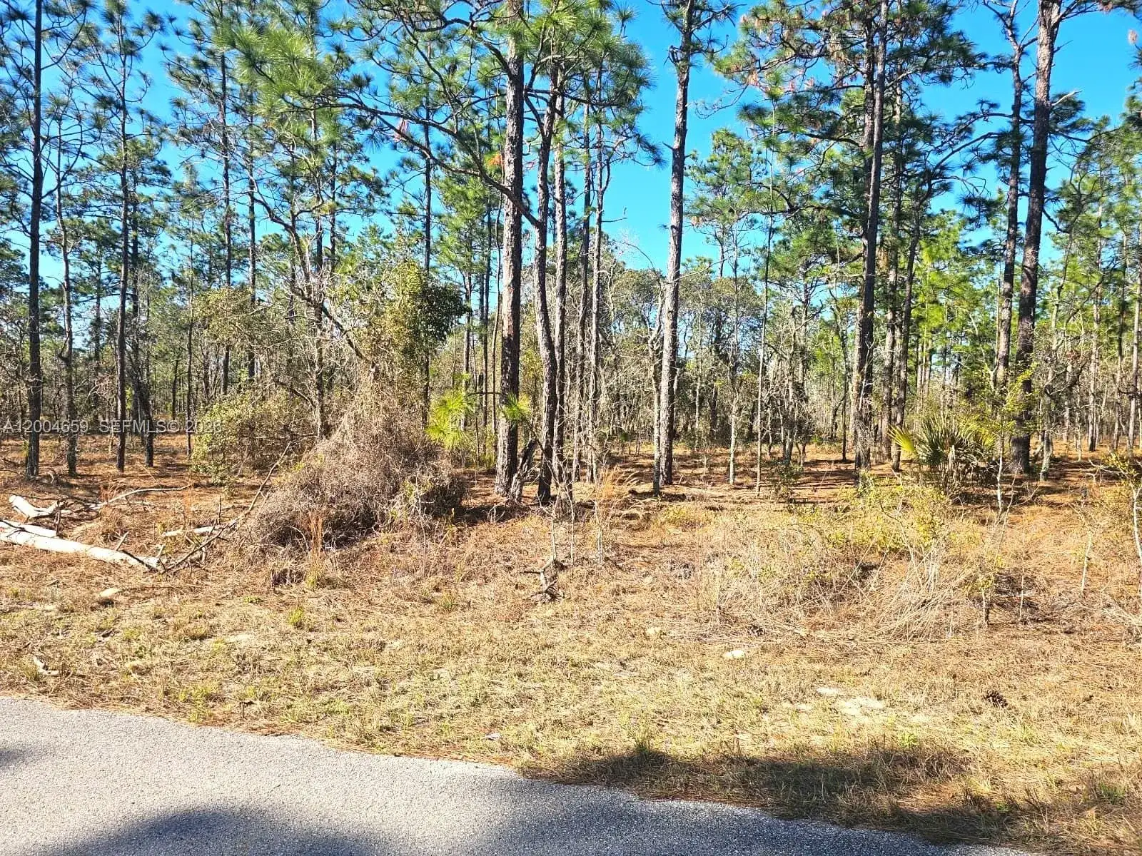 NO Situs NW Shamrock AVE, Other City - In The State Of Florida FL 34431 photo 4