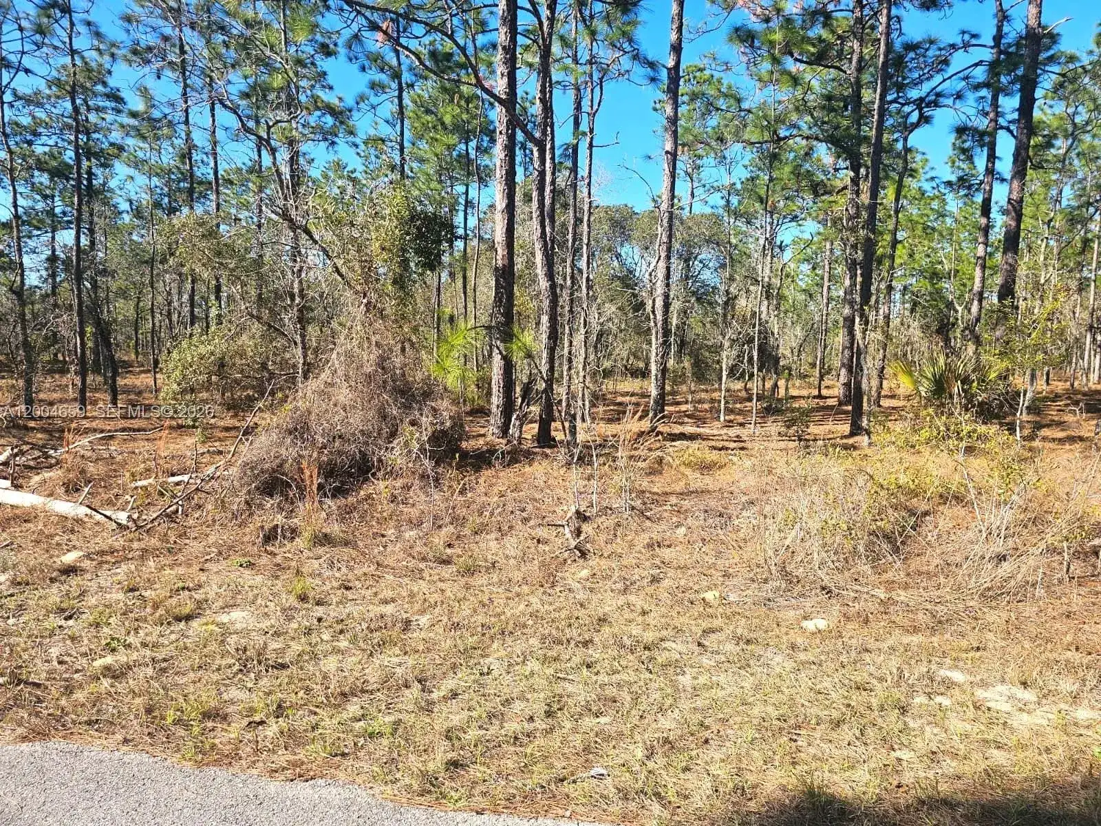 NO Situs NW Shamrock AVE, Other City - In The State Of Florida FL 34431 photo 5