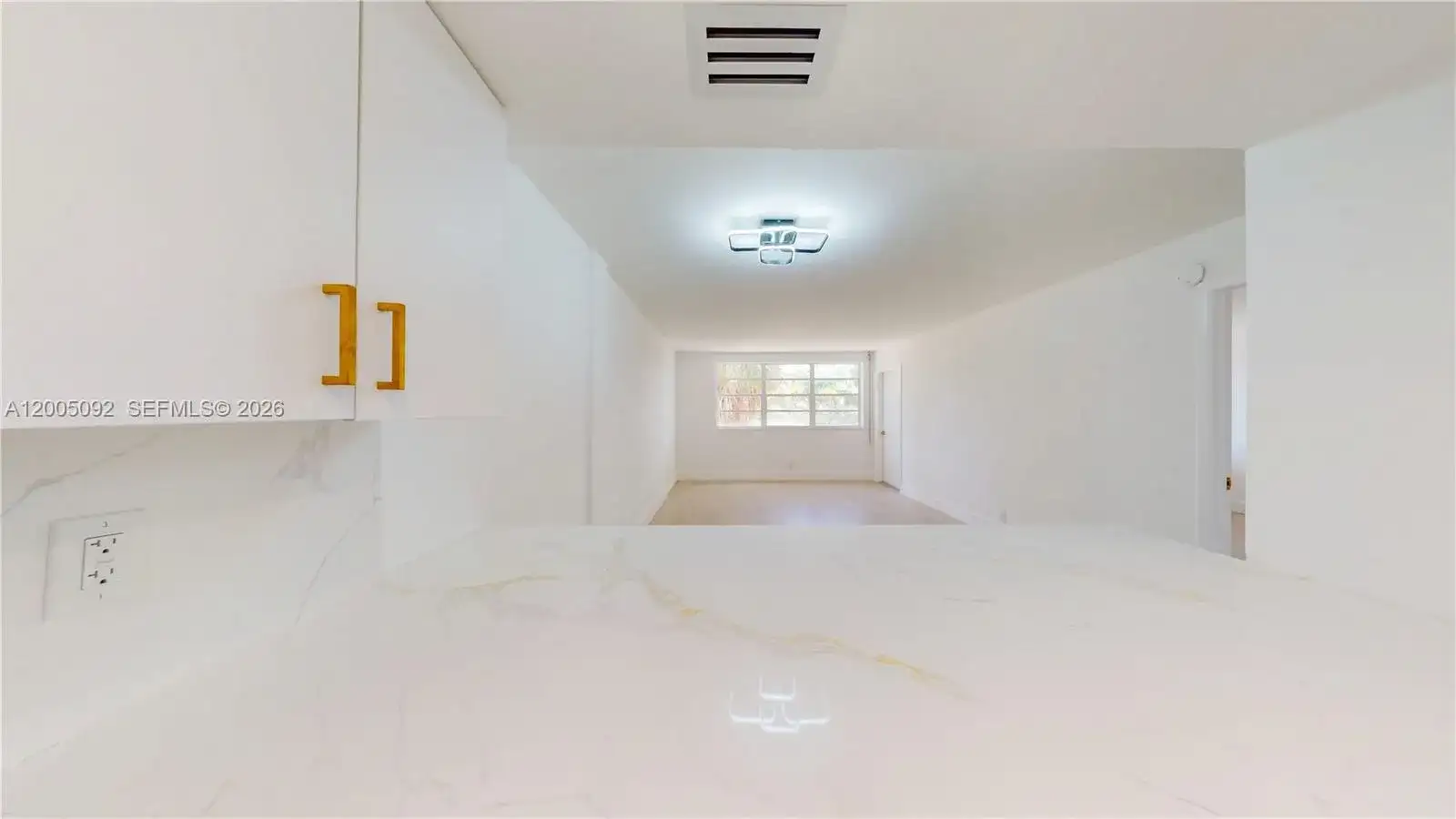 1333 E Hallandale Beach Blvd # 326, Hallandale Beach FL 33009 photo 3