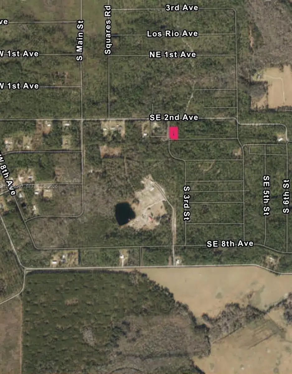 No situs SE 2nd ST, Palatka FL 32177 photo 5