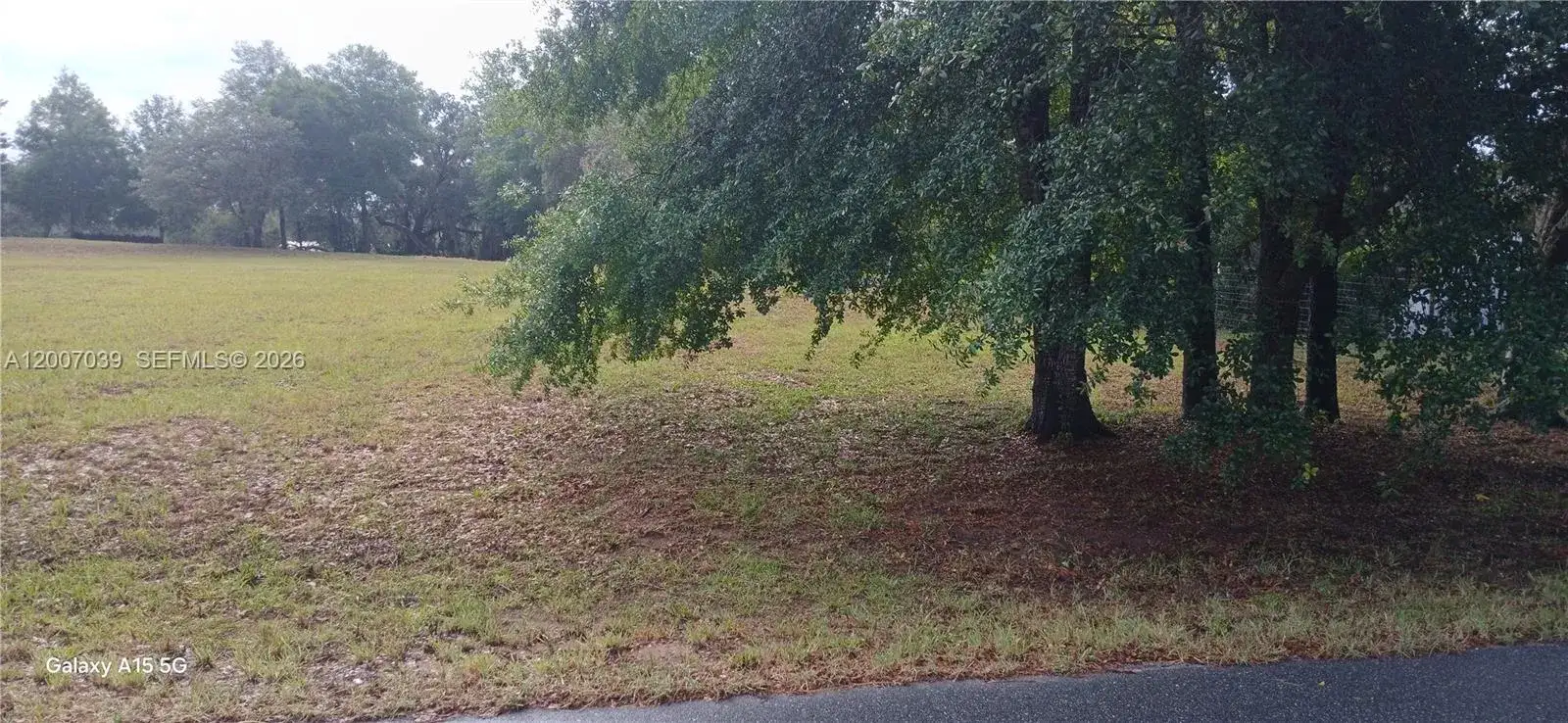 10233 S Appaloosa Ave, Other City - In The State Of Florida FL 34436
