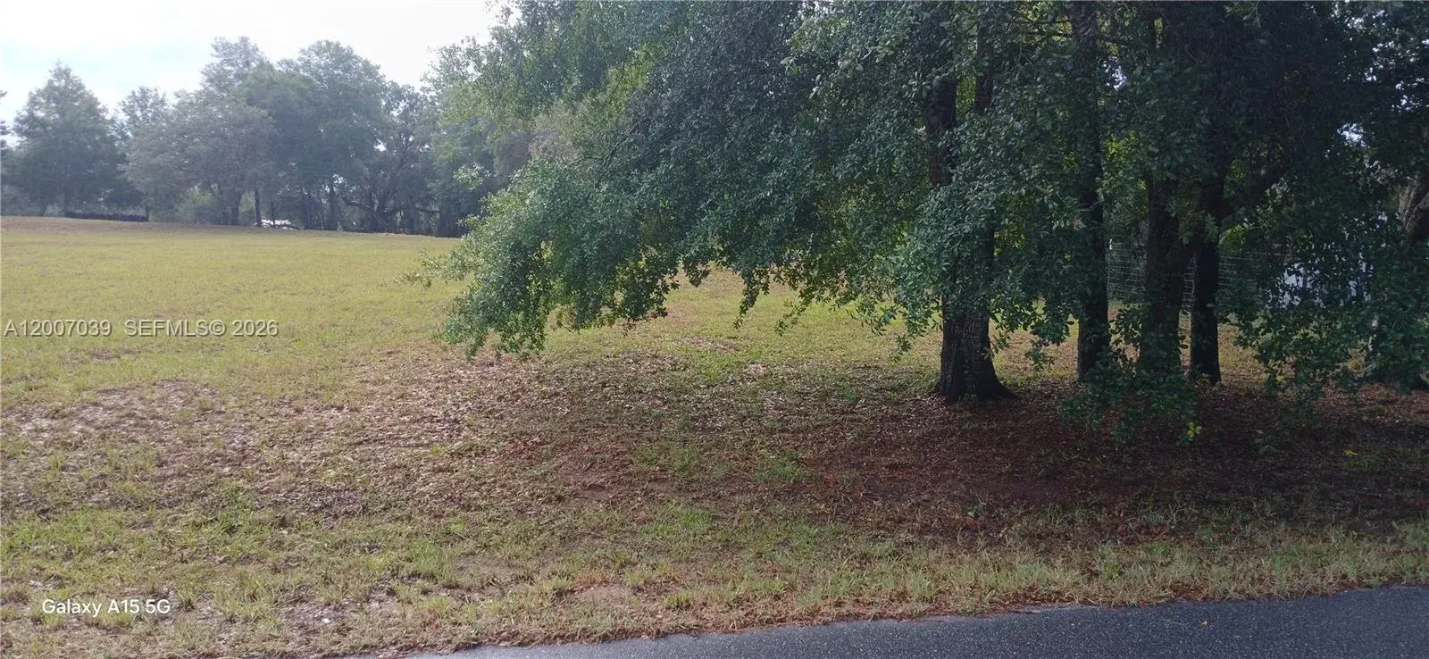 10233 S Appaloosa Ave, Other City - In The State Of Florida FL 34436