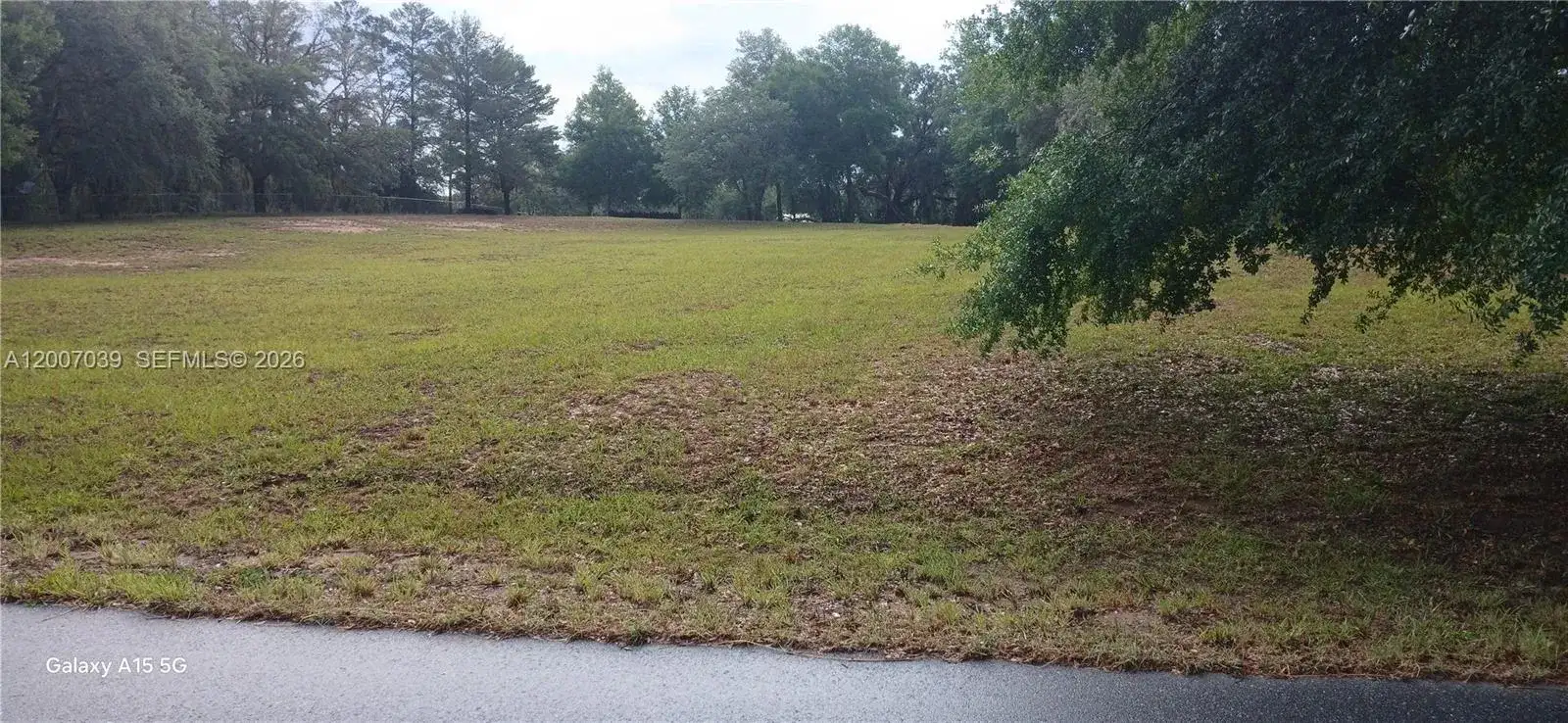 10233 S Appaloosa Ave, Other City - In The State Of Florida FL 34436 photo 4