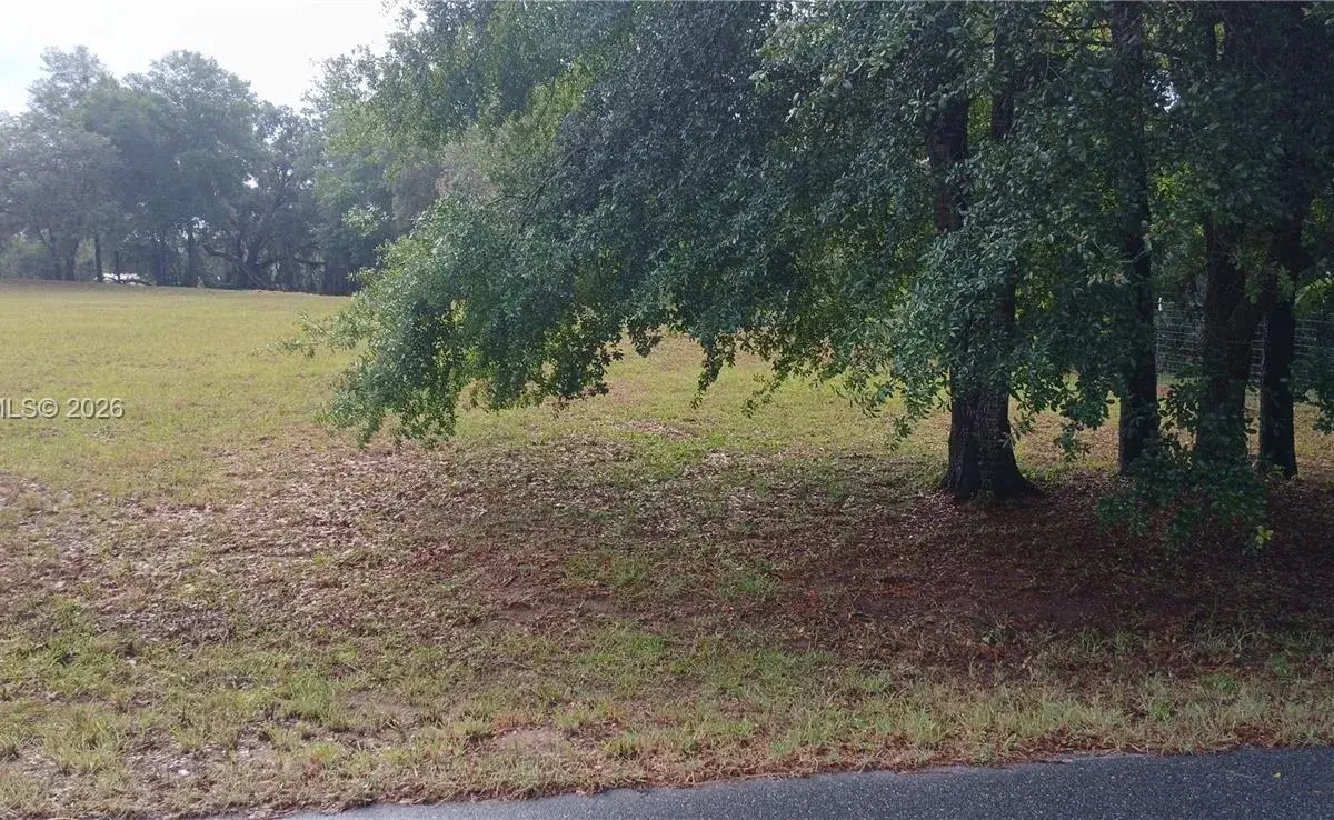 10233 S Appaloosa Ave, Other City - In The State Of Florida FL 34436