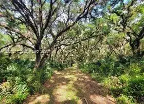 1040 Kirby Thompson Rd, Other City - In The State Of Florida FL 33935 photo 3