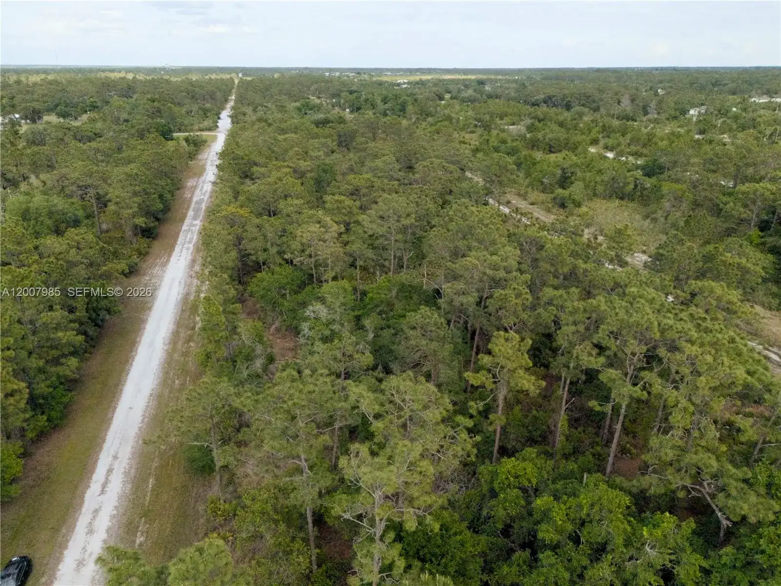 0 HIBISCUS DR, Other City - In The State Of Florida FL 33855 photo 3
