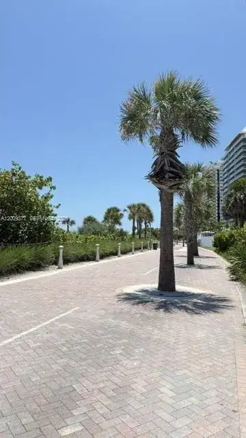 5875 Collins Ave # 708, Miami Beach FL 33140 photo 3