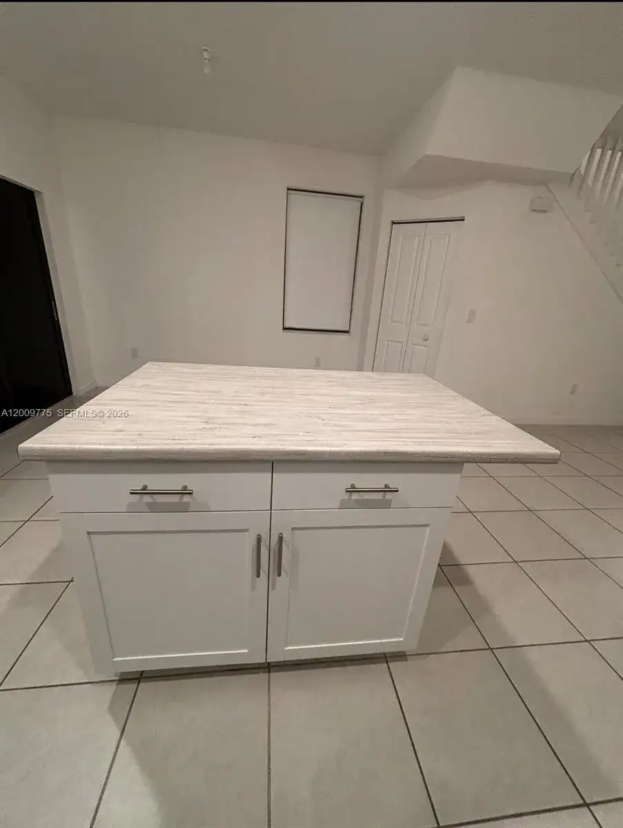 20964 NE 8th Ave, Miami FL 33179 photo 3