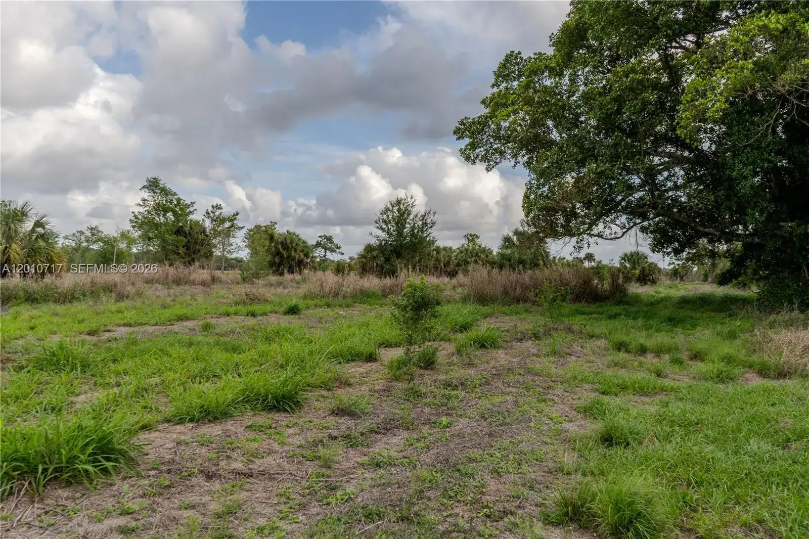 3921 Ft. Denaud Rd, La Belle FL 33935 photo 3