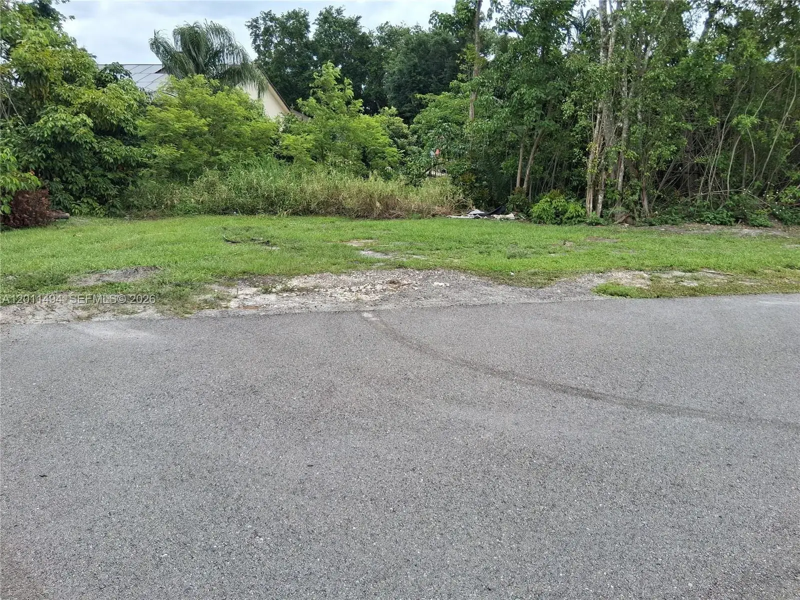 1117 andover drive, La Belle FL 33935