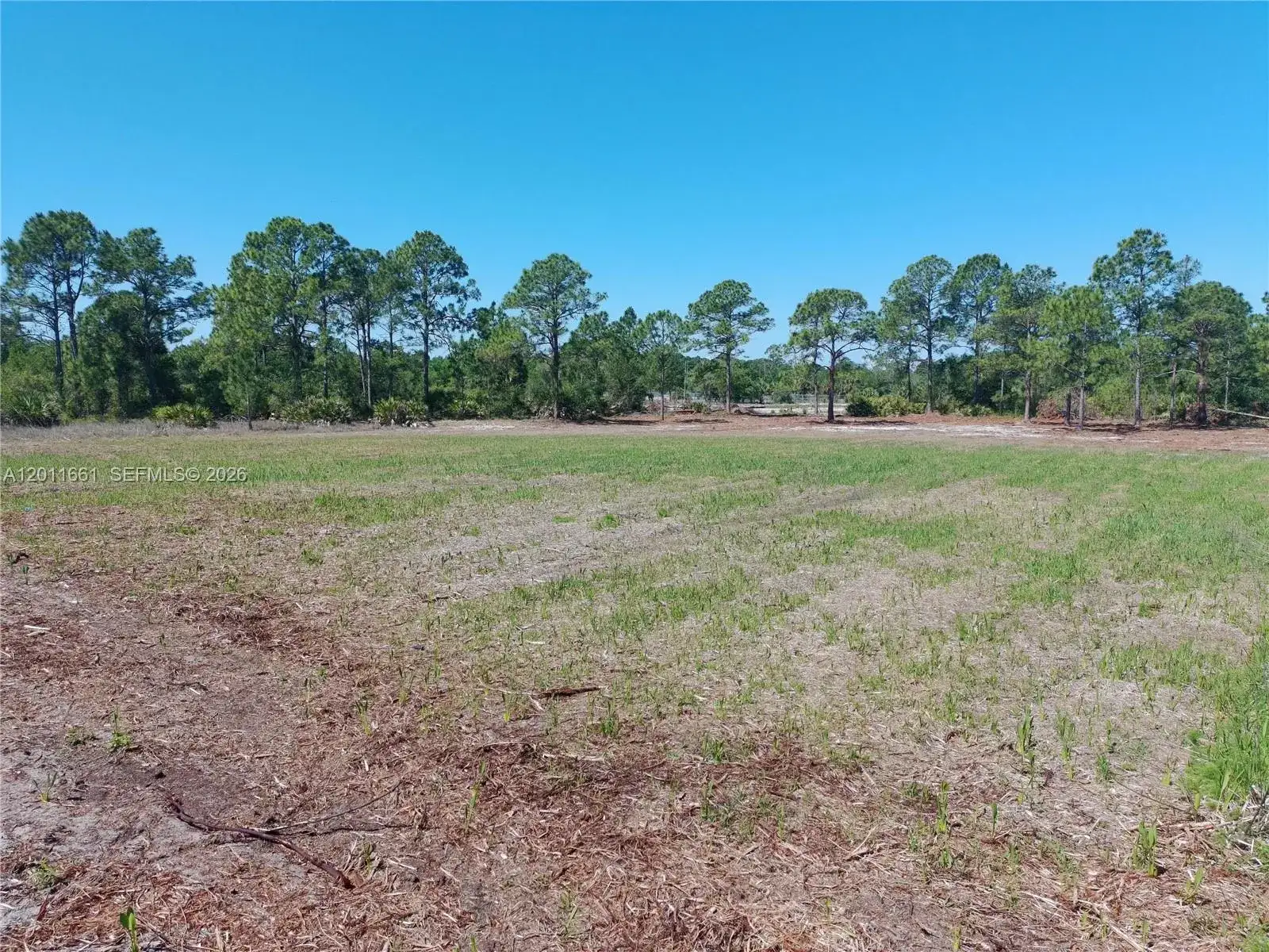 540 S Zambria ST, Clewiston FL 33440 photo 3