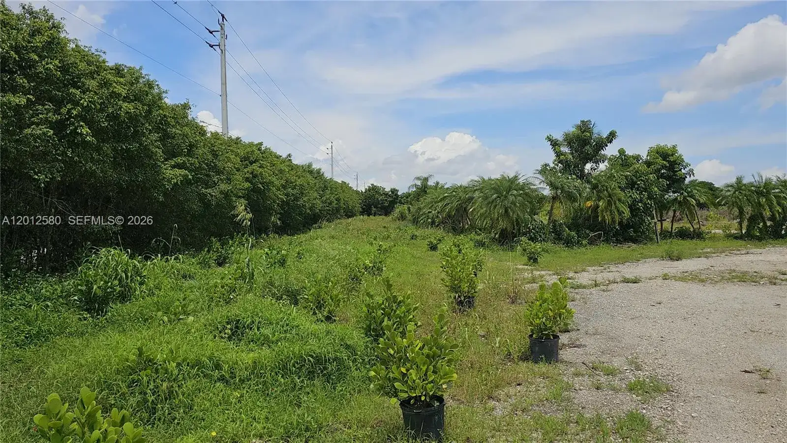 5800 SW 210th TERRACE, Southwest Ranches FL 33332 photo 3