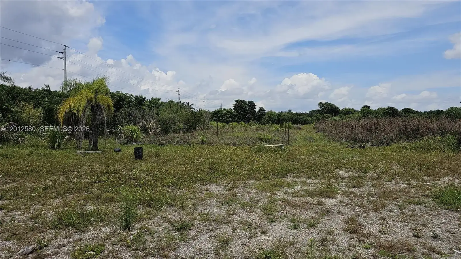 5800 SW 210th TERRACE, Southwest Ranches FL 33332 photo 4