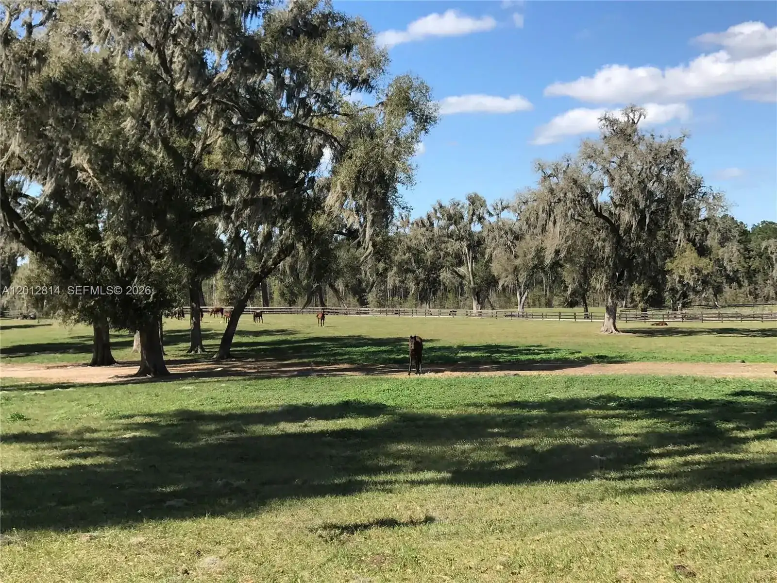 14500 N HWY 27, Ocala FL 34482 photo 2
