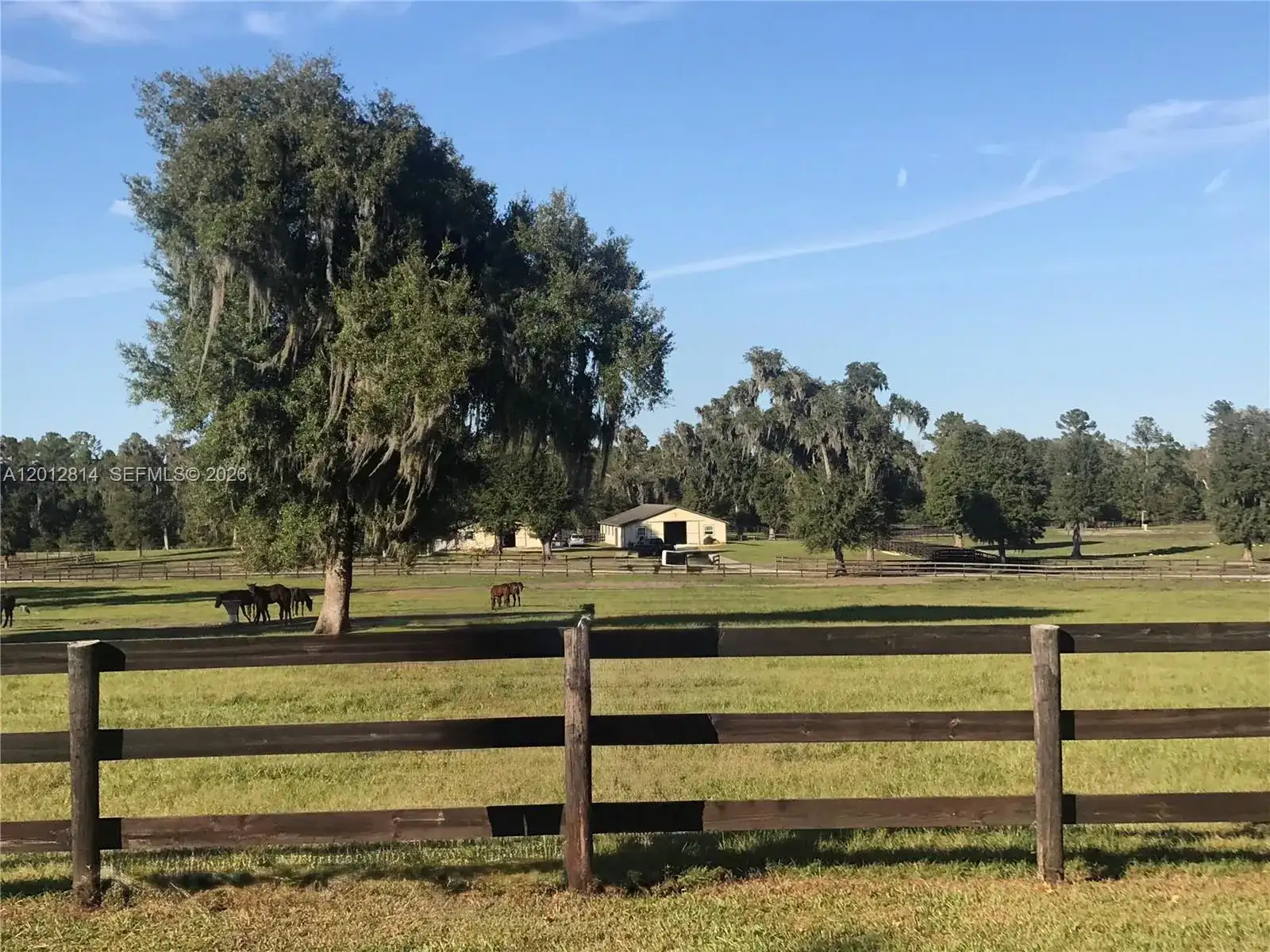 14500 N HWY 27, Ocala FL 34482 photo 3