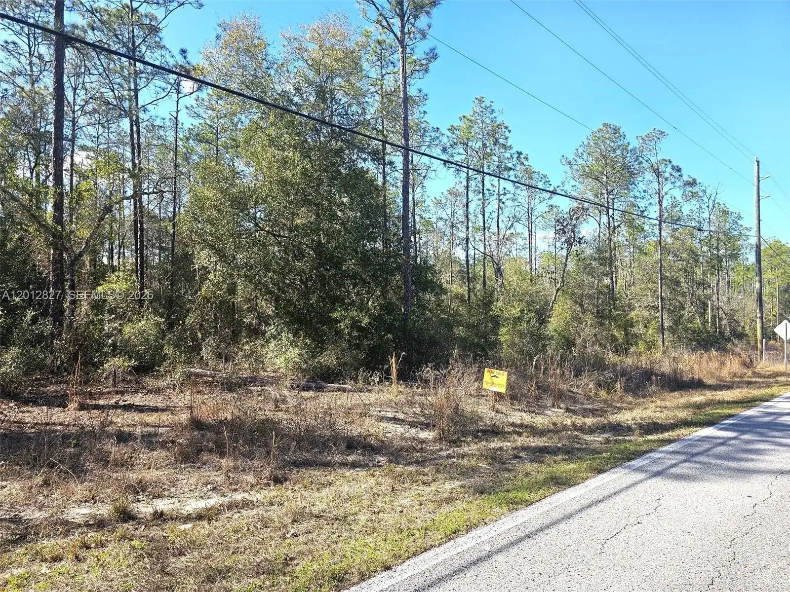 No situs SW Breezy Point DR., Other City - In The State Of Florida FL 34431 photo 2