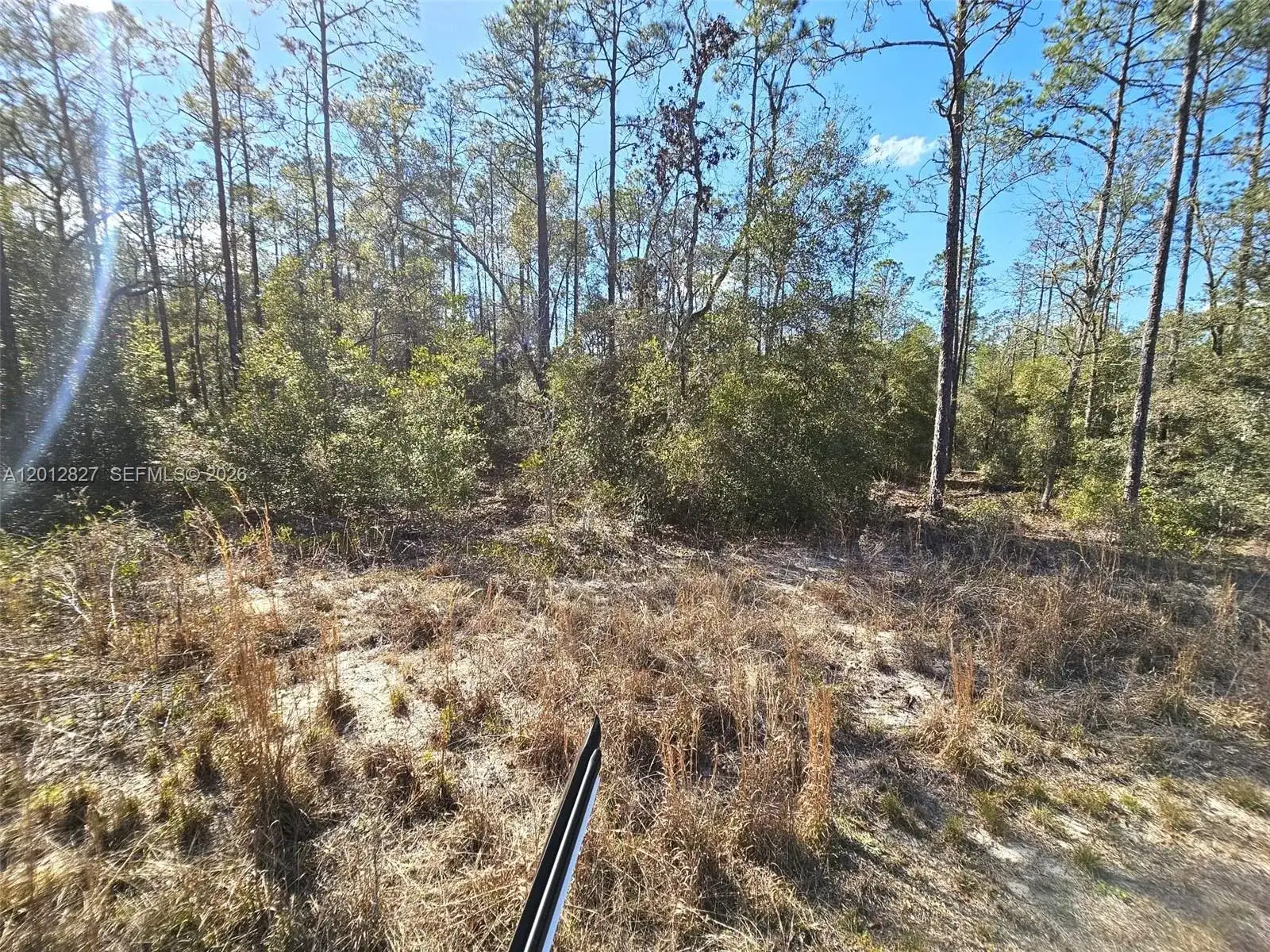 No situs SW Breezy Point DR., Other City - In The State Of Florida FL 34431 photo 3