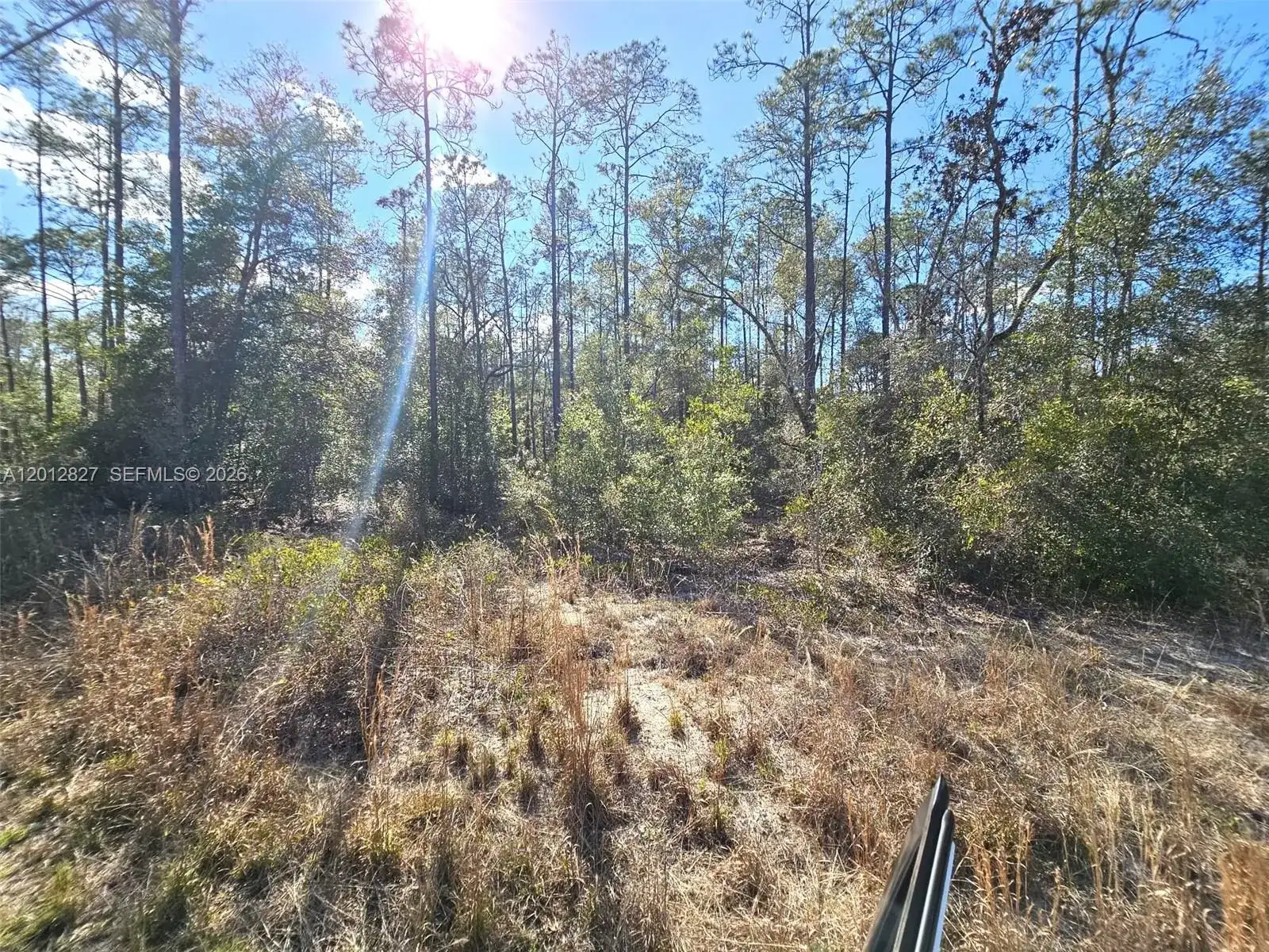 No situs SW Breezy Point DR., Other City - In The State Of Florida FL 34431 photo 4
