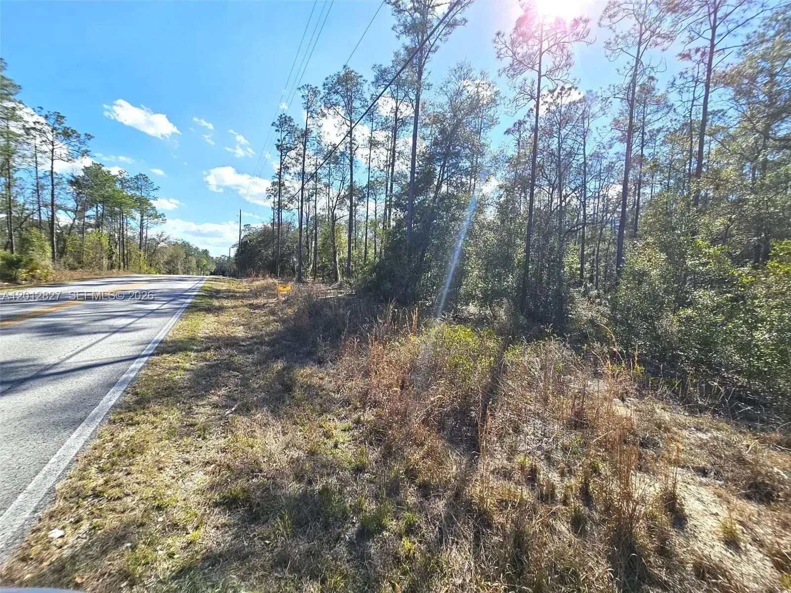 No situs SW Breezy Point DR., Other City - In The State Of Florida FL 34431 photo 5