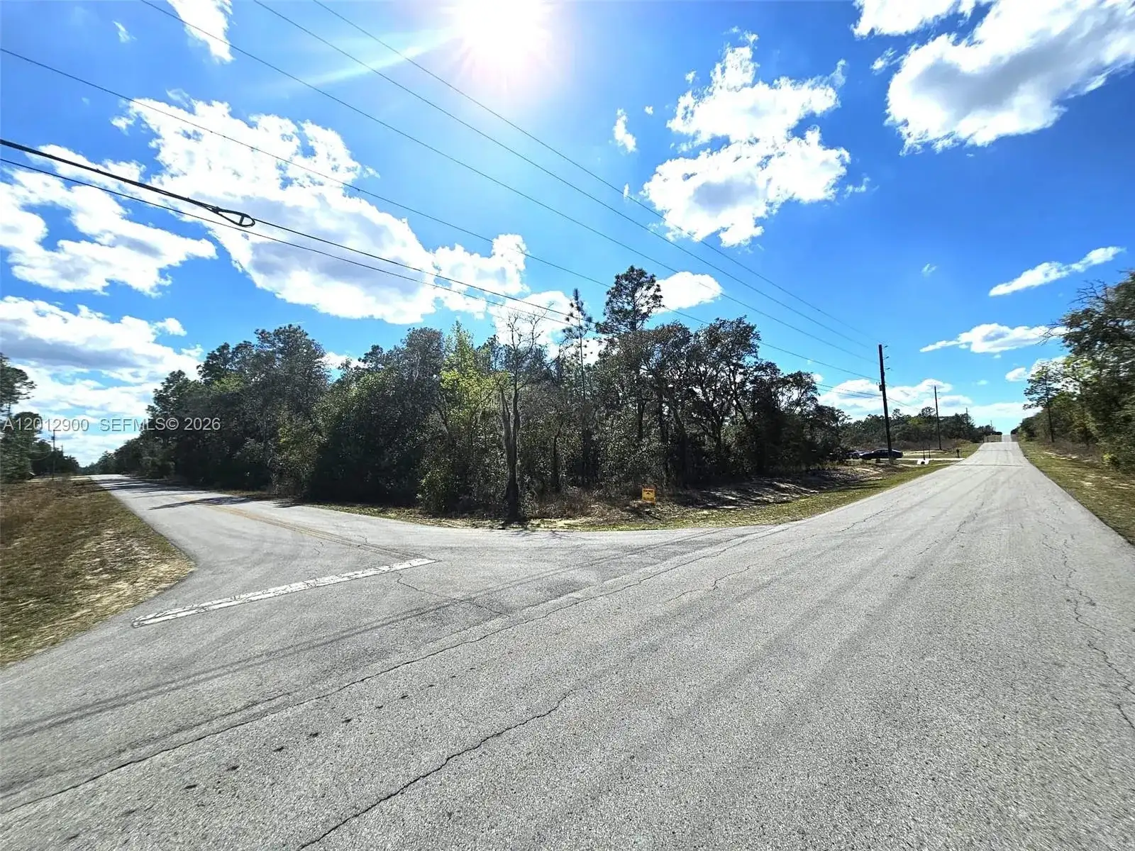 No situs SW SEA CLIFF AVE, Other City - In The State Of Florida FL 34431 photo 5