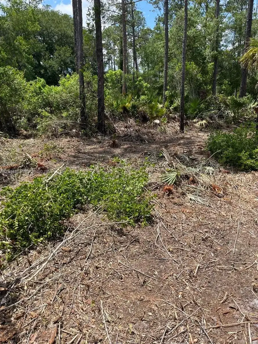 117 Lodge Pole Cir, Other City - In The State Of Florida FL 32139 photo 3