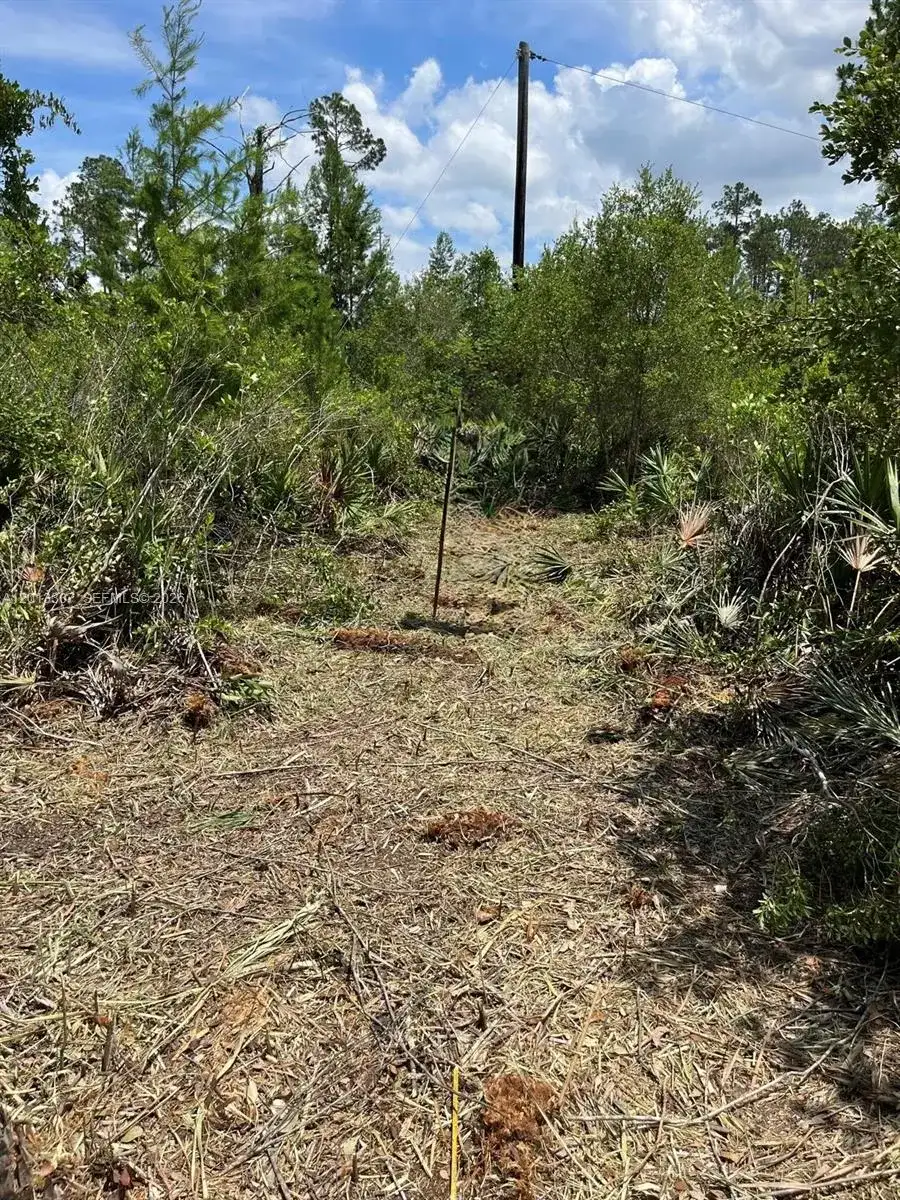 117 Lodge Pole Cir, Other City - In The State Of Florida FL 32139 photo 4
