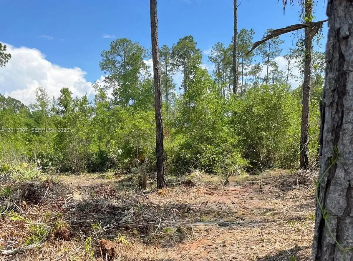 117 Lodge Pole Cir, Other City - In The State Of Florida FL 32139 photo 5