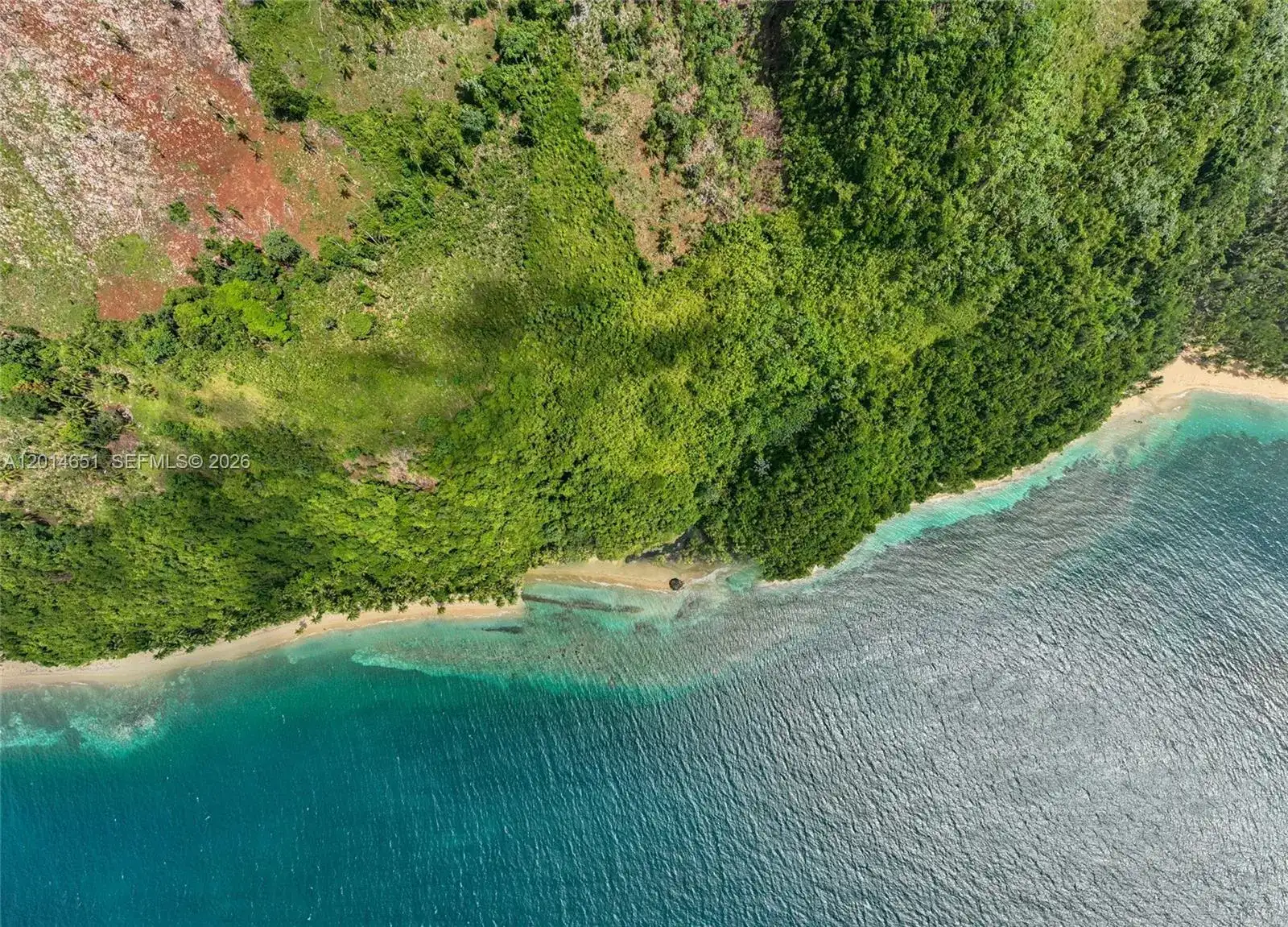 PLAYA JACKSON SAMANA, FL photo 4