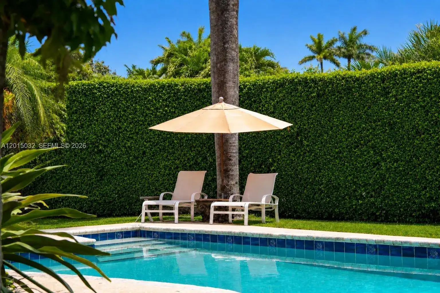 363 S Hibiscus Dr, Miami Beach FL 33139 photo 5