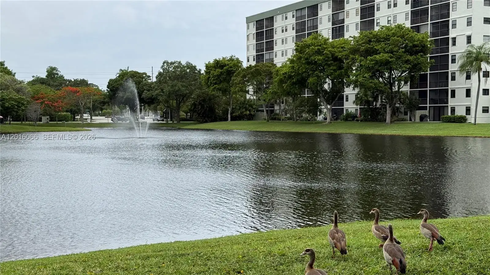 2236 N Cypress Bend Dr # 207, Pompano Beach FL 33069