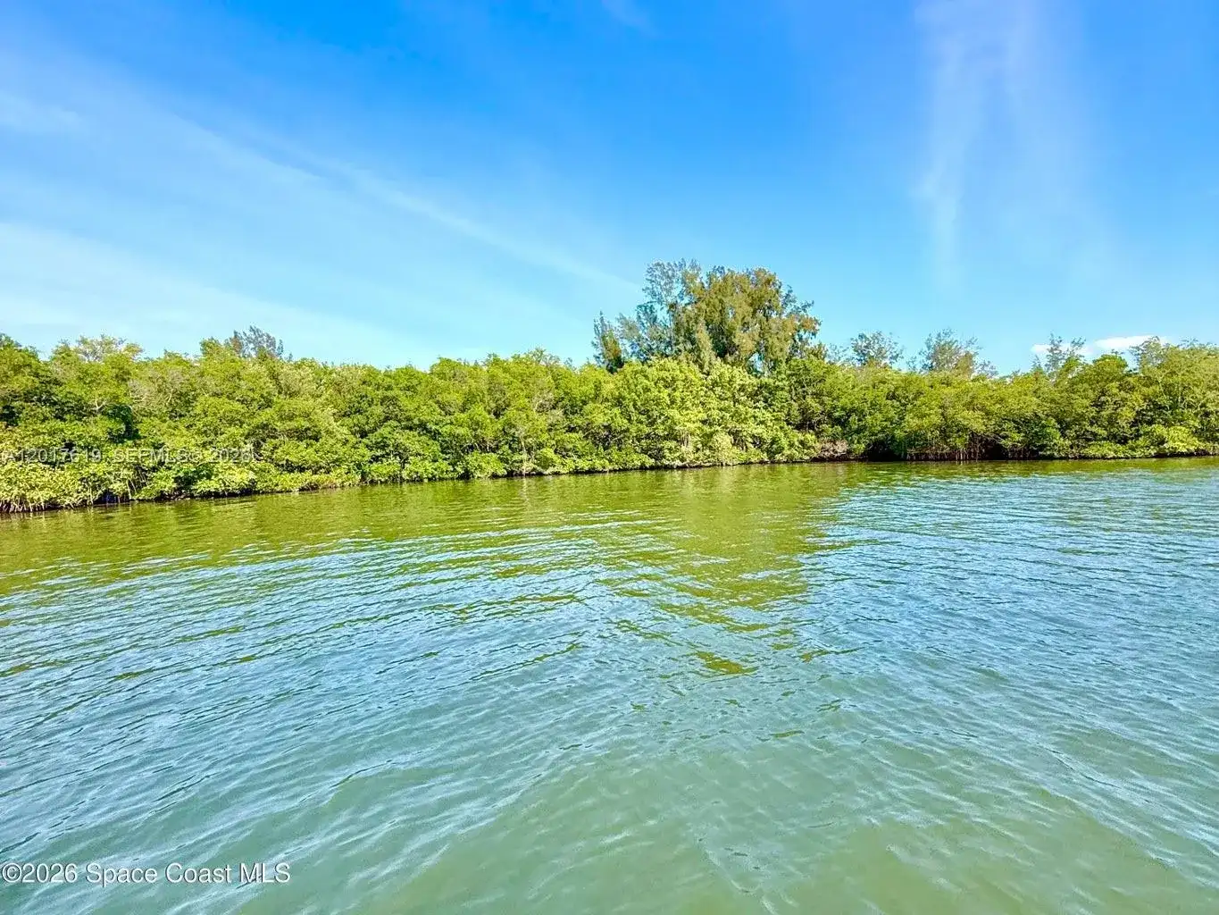 Grant Island, Grant Valkaria FL 32949 photo 2