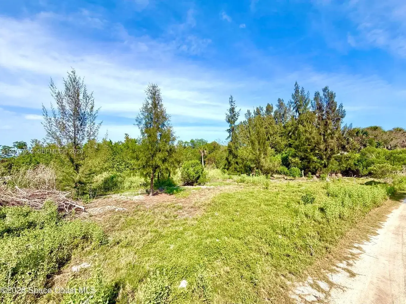 Grant Island, Grant Valkaria FL 32949 photo 4