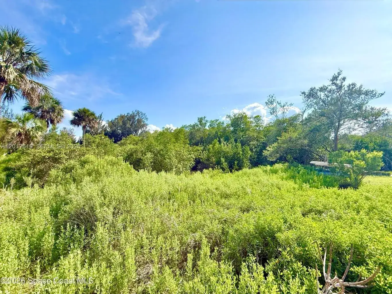 Grant Island, Grant Valkaria FL 32949 photo 5