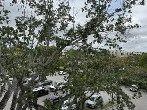 7815 Camino Real # i417, Miami FL 33143 photo 5