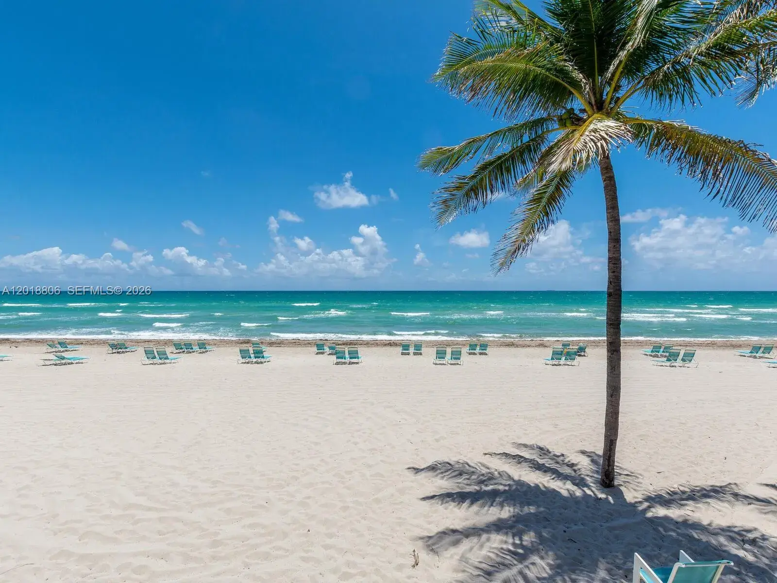 2501 S Ocean Dr # 1525, Hollywood FL 33019