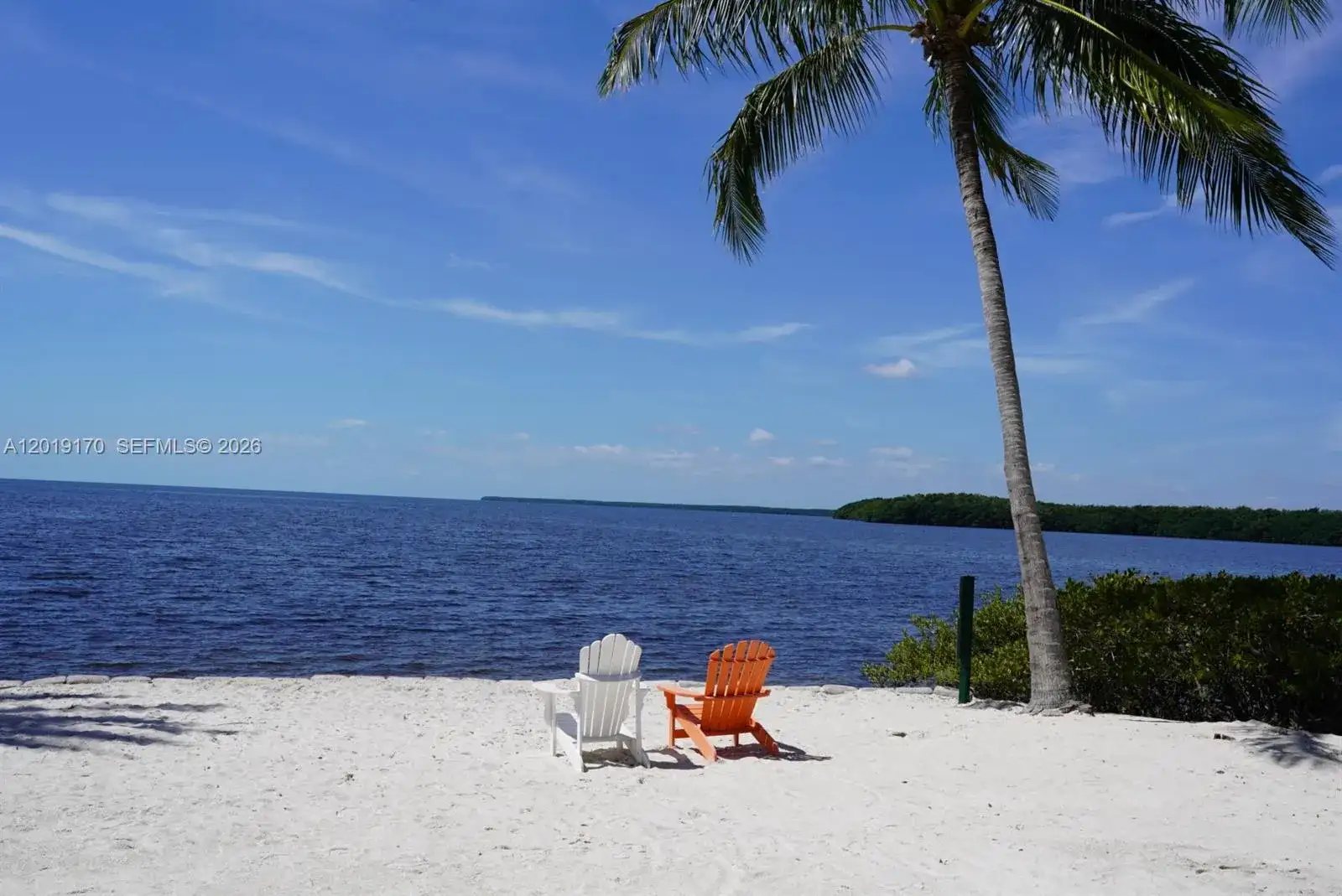 6206 Paradise Point Dr, Palmetto Bay FL 33157 photo 4